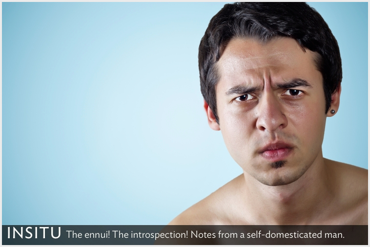 InSitu