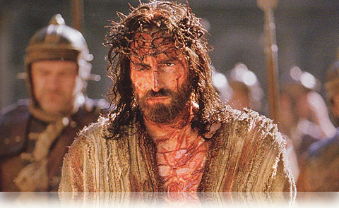 The Feel Good Movie of the Year