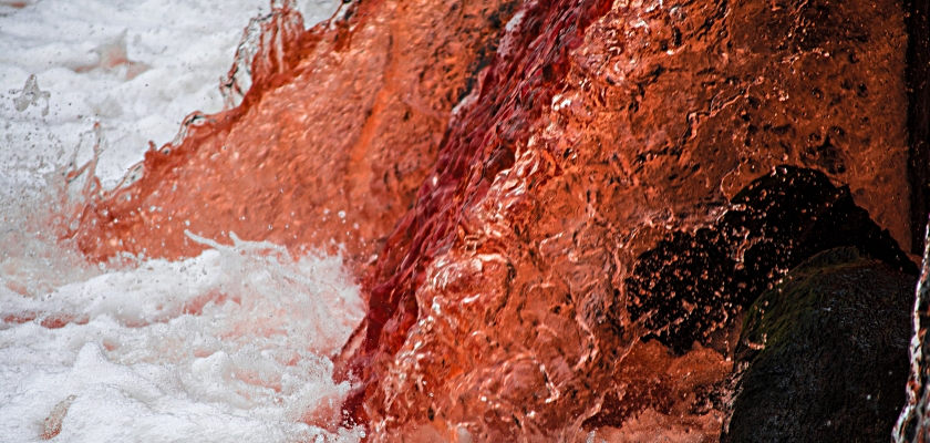 Middle East Cesspool